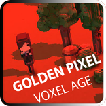 Golden Pixel Voxel Age