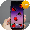 Ladybug in Phone New APK