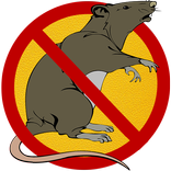 Anti-Rat Sonar