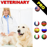 Veterinary Management