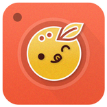 Kawaii Camera Stickers