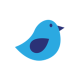 Rising Bird
