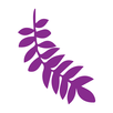 New Exotic of India APK