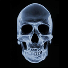 Pathology icon