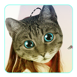 ”Real Cute Cat Face Editor