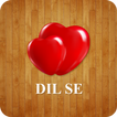 DIL SE icon