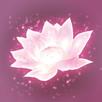 Lotus Digital APK