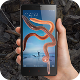 Earthworm On Screen
