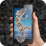 Gecko On Screen