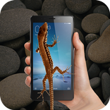 Lizard On Screen