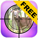 Real View Target Practice FREE