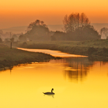 Before Sunset Atom Theme