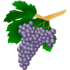 Grape varieties APK