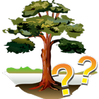 Trees - quiz icon