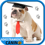 ”Cómo Adiestrar un Perro