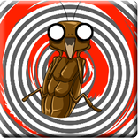 cockroach control