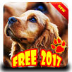 Dog Diseases APK