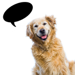 Dog Translator++   (Simulator)