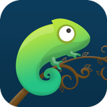 Anole Launcher