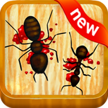 Ant