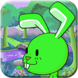 Rabbit Bunny