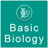 Biology Study Guide