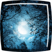 Moon Live Wallpaper APK