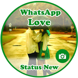 NOVO DP & STATUS