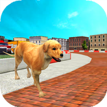 Dog Racing : Labrador
