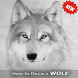 How To Draw a Wolf