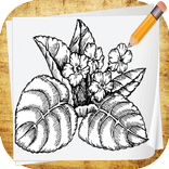 How To Draw Flowers