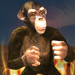 Apes Survival 3D
