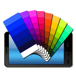 ”DS Display Expert(Lite)