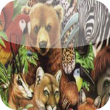 Animal sounds -أصوات الحيوانات