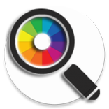 What is the color ?