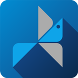 Lark  Security