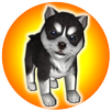 PuppyZ Dog - Virtual Pet APK