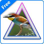 Prism Photo art filter effect