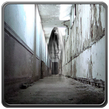 Ghost Vision Simulation