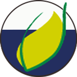 EcoBuses