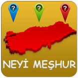 Hangi İl'in Neyi Meşhur ?