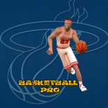 ”BasketBall Pro