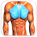 Pierś Workout ™ aplikacja