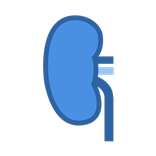 mKidney