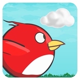 Birdy