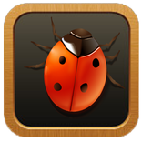 BEETLE ROLLING