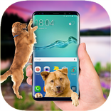 Dog run on screen scary joke