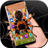 spider in phone funny joke