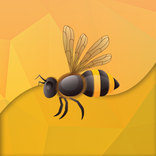Flash Bee