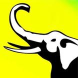Yellow Army 2016